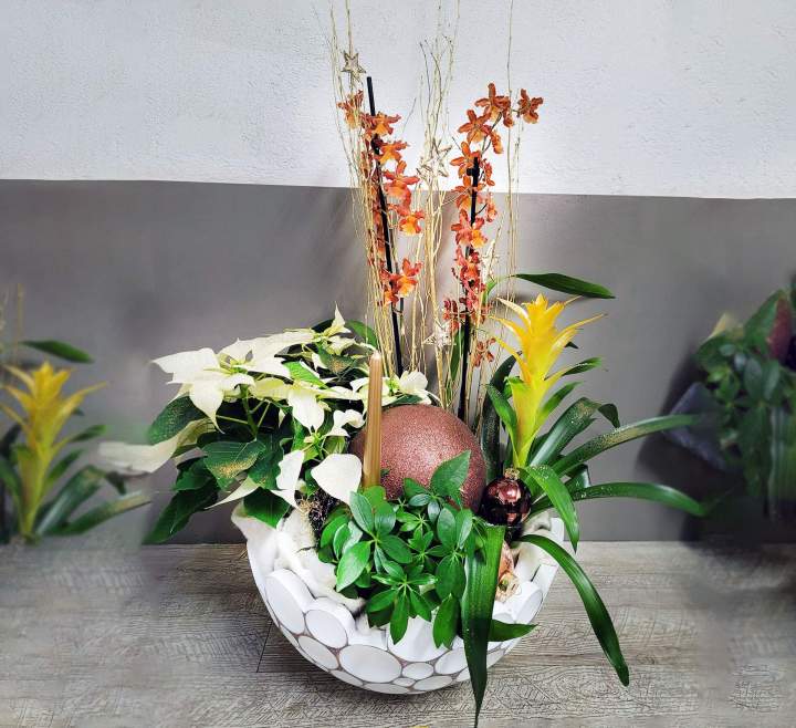 Compositions florales pour anniversaires Doué-en-Anjou