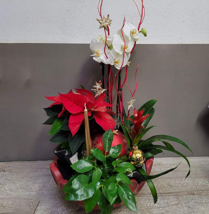 Cadeaux fleuris pour les anniversaires et les autres célébrations