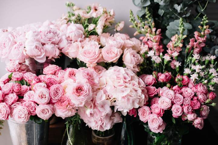 Livraison de fleurs à domicile Doué-en-Anjou